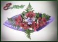 /album/kepgaleria-fenykepgaleria/dsc-0111web-jpg/