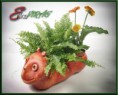 /album/cserepes-viragok/dsc-0119web-jpg/